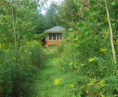 The Michigan cabin