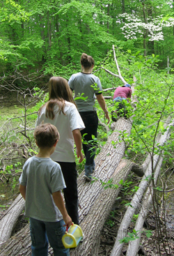 Tom Montgomery Fate and his children walking on a log.