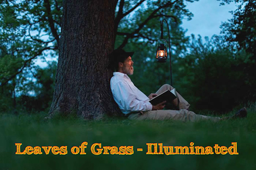 Leaves  of Grass--Illuminated