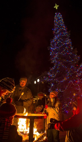 Yuletide in Park Rapids