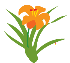 day lily