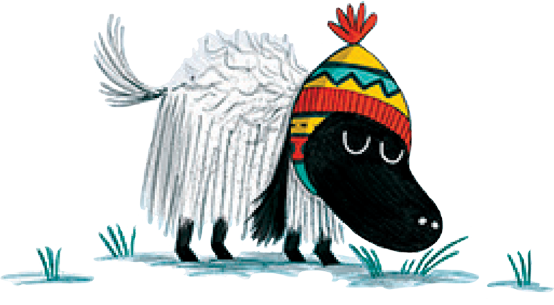 catalog art of baby yak