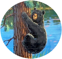 Bear from Park Rapids new mural