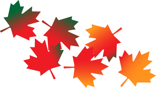 autumn leaves