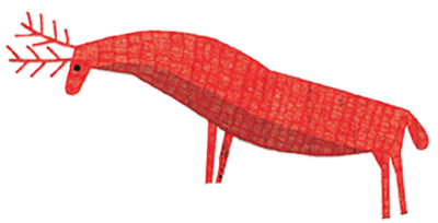 bird illustration