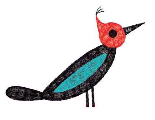 bird illustration