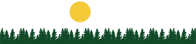 pine tree border under sun