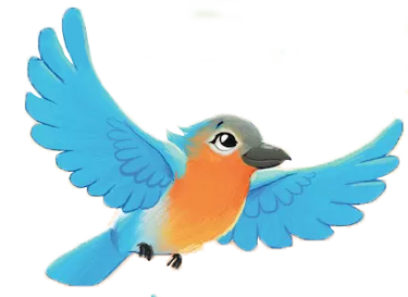 Bluebird from Boike book