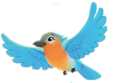 Bluebird from Boike book