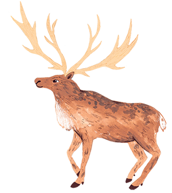 elk