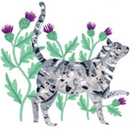 Cat in thistles