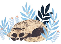 branch with berries illustration