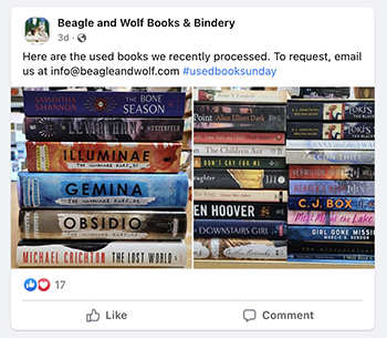Screen shot of usedbook sunday sample