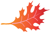 fall leaf