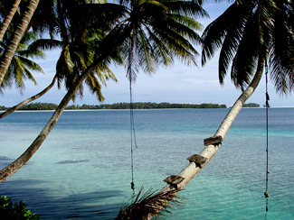 Rope swings