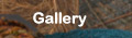 Gallery of wearable art